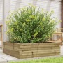 Pine wood planter box impregnated 80x80x23 cm by , Pots and planters - Ref: Foro24-847202, Price: 67,99 €, Discount: %