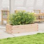 Jardinera de madera maciza de pino 90x40x23 cm de , Maceteros y jardineras - Ref: Foro24-847223, Precio: 53,99 €, Descuento: %