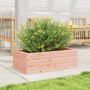 Jardinera de madera maciza Douglas 70x40x23 cm de , Maceteros y jardineras - Ref: Foro24-847221, Precio: 48,98 €, Descuento: %