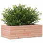 Jardinera de madera maciza Douglas 70x40x23 cm de , Maceteros y jardineras - Ref: Foro24-847221, Precio: 48,98 €, Descuento: %