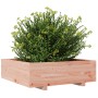 Jardinera de madera maciza Douglas 80x80x26,5 cm de , Maceteros y jardineras - Ref: Foro24-847311, Precio: 86,99 €, Descuento: %