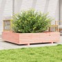 Jardinera de madera maciza Douglas 110x110x26,5 cm de , Maceteros y jardineras - Ref: Foro24-847326, Precio: 123,86 €, Descue...