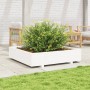 Jardinera de madera maciza de pino blanca 110x110x26,5 cm de , Maceteros y jardineras - Ref: Foro24-847324, Precio: 139,53 €,...