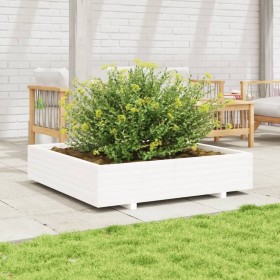 Solid white pine wood planter 110x110x26.5 cm by , Pots and planters - Ref: Foro24-847324, Price: 139,99 €, Discount: %