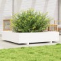 Jardinera de madera maciza de pino blanca 110x110x26,5 cm de , Maceteros y jardineras - Ref: Foro24-847324, Precio: 139,53 €,...