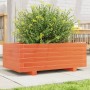 Solid pine wood planter in brown wax 70x40x26.5 cm by , Pots and planters - Ref: Foro24-847330, Price: 67,40 €, Discount: %