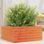 Jardinera de madera maciza de pino marrón cera 50x50x23 cm de , Maceteros y jardineras - Ref: Foro24-847185, Precio: 62,38 €,...