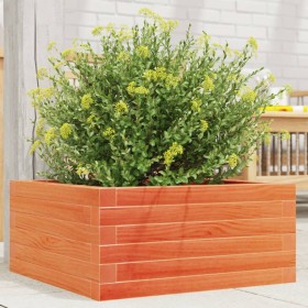 Jardinera de madera maciza de pino marrón cera 50x50x23 cm de , Maceteros y jardineras - Ref: Foro24-847185, Precio: 62,99 €,...