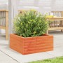 Jardinera de madera maciza de pino marrón cera 50x50x23 cm de , Maceteros y jardineras - Ref: Foro24-847185, Precio: 62,38 €,...