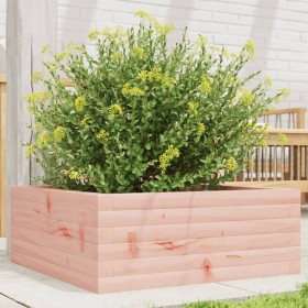 Jardinera de madera maciza de abeto Douglas 60x60x23 cm de , Maceteros y jardineras - Ref: Foro24-847191, Precio: 64,99 €, De...