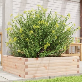 Jardinera de madera maciza de pino 80x80x23 cm de , Maceteros y jardineras - Ref: Foro24-847198, Precio: 63,99 €, Descuento: %