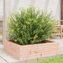 Douglas solid wood planter 80x80x23 cm by , Pots and planters - Ref: Foro24-847201, Price: 81,34 €, Discount: %