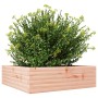 Douglas solid wood planter 80x80x23 cm by , Pots and planters - Ref: Foro24-847201, Price: 81,34 €, Discount: %