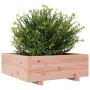 Jardinera de madera maciza Douglas 70x70x26,5 cm de , Maceteros y jardineras - Ref: Foro24-847306, Precio: 92,99 €, Descuento: %