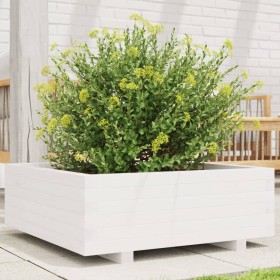 Solid white pine wood planter 70x70x26.5 cm by , Pots and planters - Ref: Foro24-847304, Price: 85,99 €, Discount: %