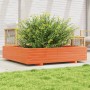 Wax brown solid pine wood planter 110x110x26.5 cm by , Pots and planters - Ref: Foro24-847325, Price: 139,99 €, Discount: %