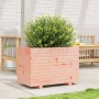 Jardinera madera maciza de abeto Douglas 70x40x49,5 cm de , Maceteros y jardineras - Ref: Foro24-847371, Precio: 99,91 €, Des...