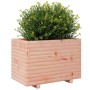 Jardinera madera maciza de abeto Douglas 70x40x49,5 cm de , Maceteros y jardineras - Ref: Foro24-847371, Precio: 99,91 €, Des...