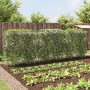 Enrejados de jardín plantas trepadoras forma U 3 unidades acero de , Soportes para macetas - Ref: Foro24-3281502, Precio: 177...