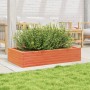 Jardinera madera maciza de pino marrón cera 110x60x23 cm de , Maceteros y jardineras - Ref: Foro24-847240, Precio: 80,99 €, D...