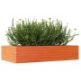 Jardinera madera maciza de pino marrón cera 110x60x23 cm de , Maceteros y jardineras - Ref: Foro24-847240, Precio: 80,99 €, D...