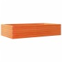 Jardinera madera maciza de pino marrón cera 110x60x23 cm de , Maceteros y jardineras - Ref: Foro24-847240, Precio: 80,99 €, D...