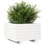 Jardinera de madera maciza de pino blanco 40x40x26,5 cm de , Maceteros y jardineras - Ref: Foro24-847289, Precio: 51,03 €, De...