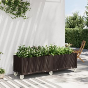 Jardinera con ruedas PP marrón 160x50x54 cm de , Maceteros y jardineras - Ref: Foro24-367999, Precio: 161,99 €, Descuento: %