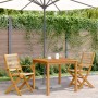 Gartenstühle 2 Stück Massivholz Akazie Polypropylen Beige von , Gartenstühle - Ref: Foro24-367668, Preis: 145,99 €, Rabatt: %