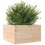 Jardinera madera maciza de pino 80x80x45,5 cm de , Maceteros y jardineras - Ref: Foro24-847258, Precio: 117,99 €, Descuento: %