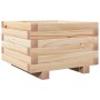 Jardinera de madera maciza de pino 40x40x26,5 cm de , Maceteros y jardineras - Ref: Foro24-847288, Precio: 52,62 €, Descuento: %