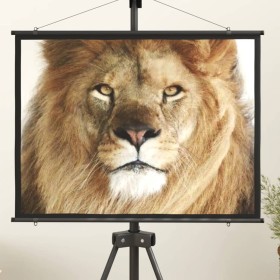 Projection screen 50" 4:3 by vidaXL, Projection screens - Ref: Foro24-51384, Price: 20,81 €, Discount: %