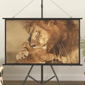 Projection screen 50" 16:9 by vidaXL, Projection screens - Ref: Foro24-51390, Price: 30,07 €, Discount: %