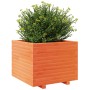 Solid pine wood planter in brown wax 60x60x49.5 cm by , Pots and planters - Ref: Foro24-3282521, Price: 153,99 €, Discount: %