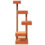 Solid pine wood cat tree in brown wax, 45.5x49x103 cm by , Cat furniture - Ref: Foro24-847132, Price: 81,64 €, Discount: %