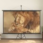 Pantalla de proyección con trípode 100" 16:9 de vidaXL, Pantallas para proyección - Ref: Foro24-51413, Precio: 71,03 €, Descu...