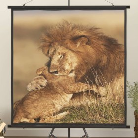 Projection screen 50" 1:1 by vidaXL, Projection screens - Ref: Foro24-51399, Price: 27,44 €, Discount: %