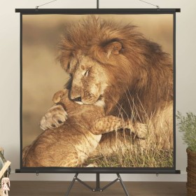 Projection screen 57" 1:1 by vidaXL, Projection screens - Ref: Foro24-51400, Price: 28,14 €, Discount: %