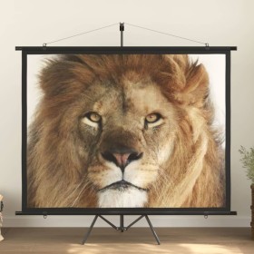 Projection screen 100" 4:3 by vidaXL, Projection screens - Ref: Foro24-51389, Price: 47,21 €, Discount: %