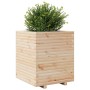 Jardinera madera maciza de pino 60x60x72 cm de , Maceteros y jardineras - Ref: Foro24-3282614, Precio: 179,01 €, Descuento: %