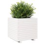 Jardinera madera maciza de pino blanco 50x50x49,5 cm de , Maceteros y jardineras - Ref: Foro24-3282515, Precio: 130,87 €, Des...