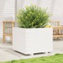 Jardinera madera maciza de pino blanco 60x60x49,5 cm de , Maceteros y jardineras - Ref: Foro24-3282520, Precio: 154,47 €, Des...