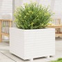 Jardinera madera maciza de pino blanco 60x60x49,5 cm de , Maceteros y jardineras - Ref: Foro24-3282520, Precio: 154,47 €, Des...