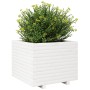 Jardinera madera maciza de pino blanco 60x60x49,5 cm de , Maceteros y jardineras - Ref: Foro24-3282520, Precio: 154,47 €, Des...