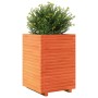 Jardinera madera maciza de pino marrón cera 50x50x72 cm de , Maceteros y jardineras - Ref: Foro24-3282611, Precio: 181,29 €, ...