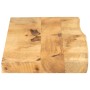 Tischplatte Kante Natur, Griff aus Massivholz 100x20x3,8 cm von , Tischplatten - Ref: Foro24-370373, Preis: 35,63 €, Rabatt: %