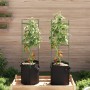 Support for tomatoes with 2 steel and PP bags, 116 cm. by , Pot stands - Ref: Foro24-4009284, Price: 29,05 €, Discount: %