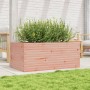 Jardinera madera maciza de abeto Douglas 110x60x46 cm de , Maceteros y jardineras - Ref: Foro24-3282462, Precio: 166,99 €, De...