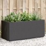 Jardinera PP gris oscuro 80x36x35 cm de , Maceteros y jardineras - Ref: Foro24-368777, Precio: 76,19 €, Descuento: %