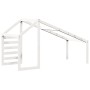 Solid white pine wood children's bed canopy 188x82x113 cm by , Accessories for beds and slatted bases - Ref: Foro24-846883, P...